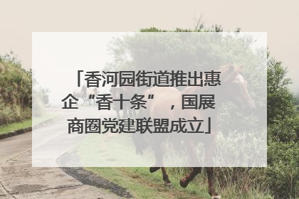 香河园街道推出惠企“香十条”，国展商圈党建联盟成立